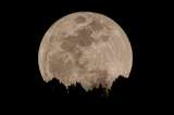 Luna de fresa junio 2025: cuándo y cómo verla desde Colombia