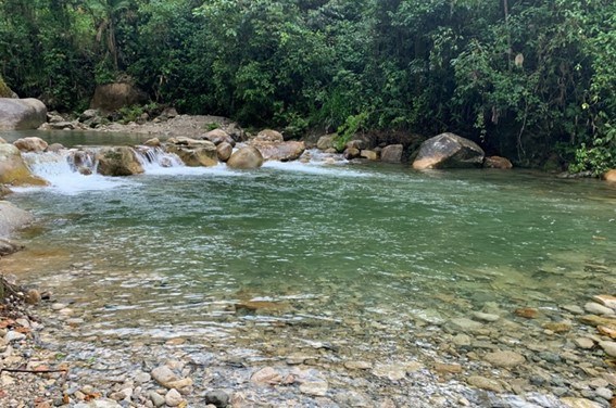 Bloque 28: la explotación petrolera que amenaza la selva ecuatoriana, y el planeta
