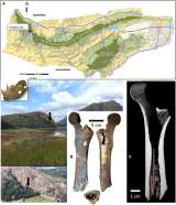 Así preparaban el veneno para cazar animales hace 7.000 años