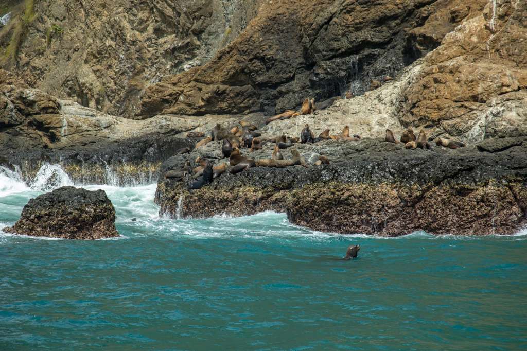 Manabí, un atractivo turístico imperdible en la costa ecuatoriana