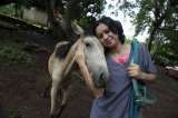 De la explotación a la vida: el refugio donde rescatan caballos en Nicaragua