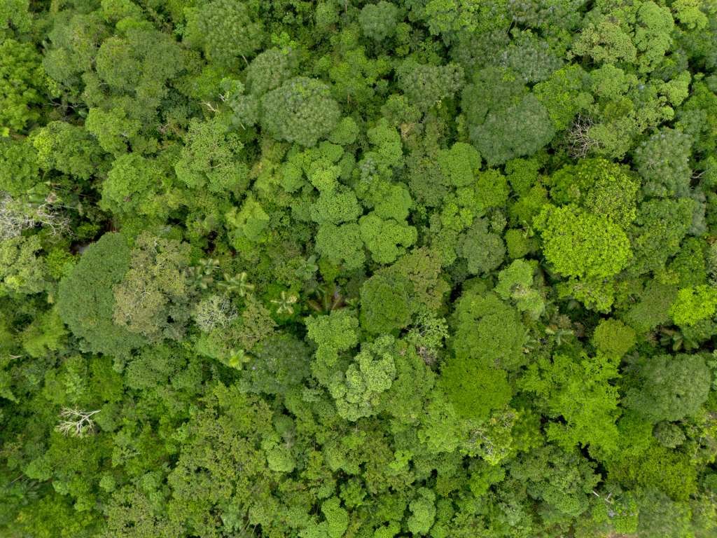 Vista aérea de la selva amazónica, en Villa Garzón, Putumayo.