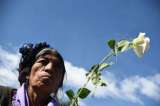 Marchas en América Latina contra los feminicidios y la violencia machista