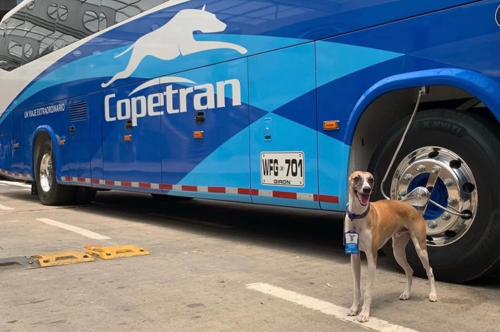Cope es la mascota de Copetran desde hace siete años.