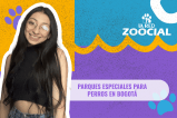 Conozca estos tres parques especiales para perros en Bogotá
