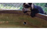 Zoológico de Barranquilla solo tendría presupuesto para mantenerse durante agosto
