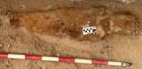 Arqueólogos españoles hallan momias romanas y un papiro de La Ilíada en Egipto