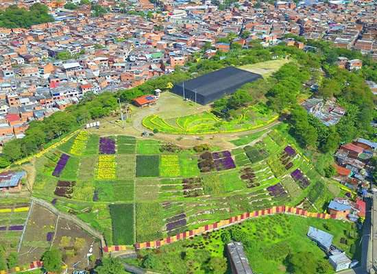 Moravia convirtió un basurero en uno de los jardines más grandes de Colombia y en un rincón turístico inesperado.
