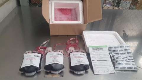 Desde Antioquia intentaron enviar cocaína camuflada entre muestras de sangre