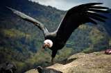 Seis fotografías de la increíble biodiversidad de Colombia