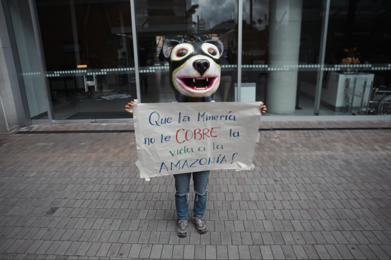 En la resolución, Corpoamazonia pide a la Agencia Nacional de Minería (ANM) que considere excluir los proyectos de minería que se encuentren en el área de interés ambiental, incluida la de cobre.