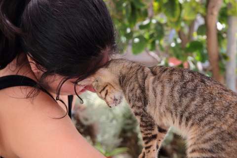 Influencer latina sorprende al revelar cuánto le pagaron por cuidar un gato en España