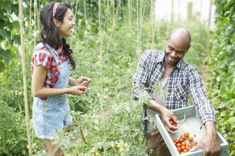 Los colombianos son los que más hacen turismo de voluntariado