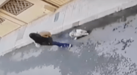 (Video) Mujer presuntamente robó perro en la puerta de un local en Usme