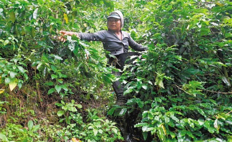 ¿Cómo está el campo tras un año de pandemia?