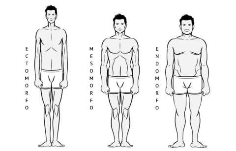 ¿Qué tipo de prendas usar según el tipo y silueta del cuerpo? Expertas le explican