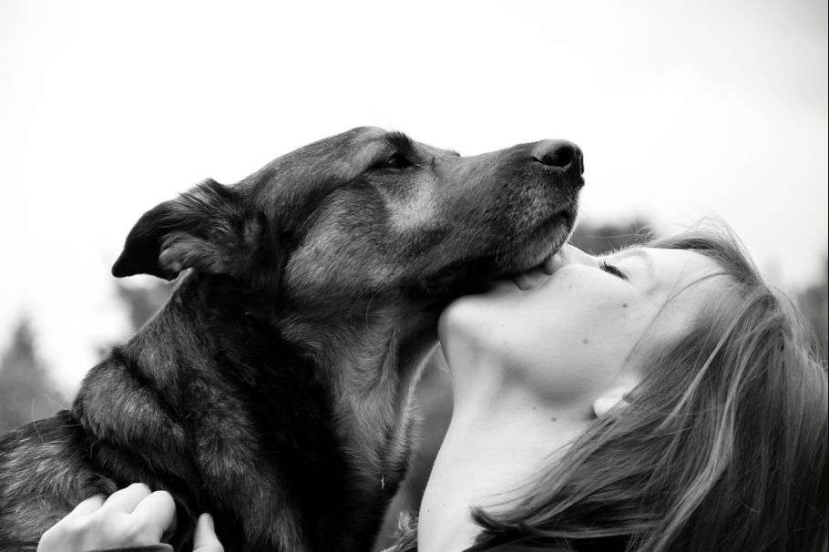 ¿Besas la boca de tu mascota?