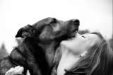 ¿Cuál es la mejor edad para adoptar a un perro?