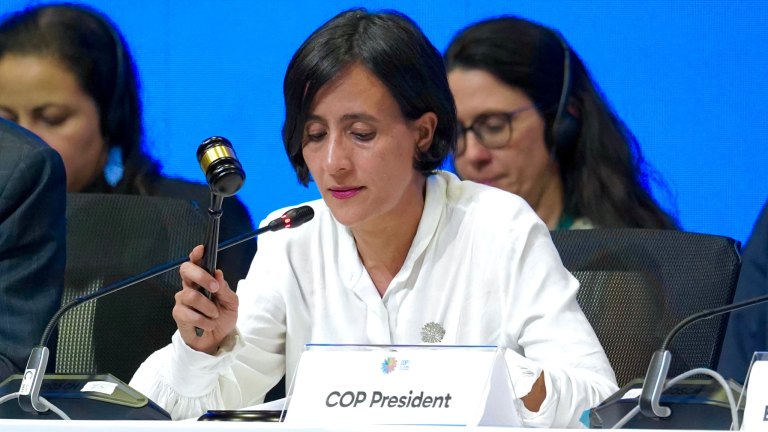 Viene la recta final de la COP16: hay avances, pero también cuellos de botella