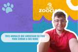 (Video) Tres animales que arriesgan su vida para cuidar a sus hijos