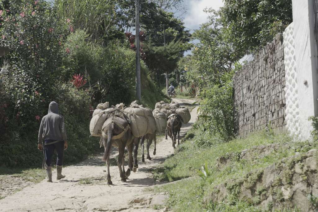 Líderes de la Sierra han denunciado una zozobra permanente por la reconfiguración paramilitar en la región.