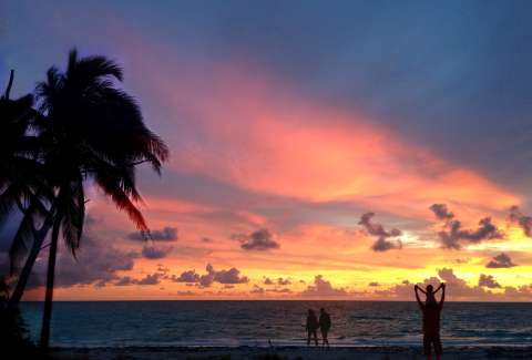 Fort Myers: playas vírgenes, conchas y atardeceres únicos en Florida
