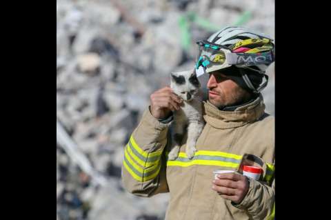 (Fotos) Terremoto en Turquía y Siria: habitantes se consuelan salvando animales