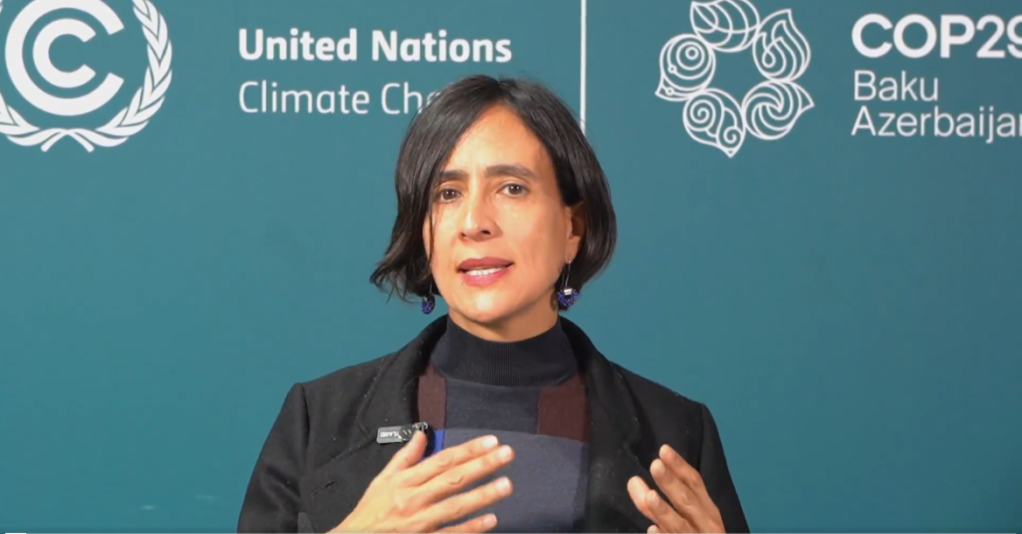 La ministra de Ambiente, Susana Muhamad, hizo el anuncio en el marco de la Conferencia de las Partes sobre Cambio Climático (COP29) que se está llevando a cabo en Bakú, en Azerbaiyán.