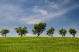 Empezamos a vivir a crédito con la naturaleza