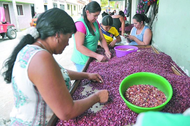 Cajamarca busca reinventarse más allá de la minería