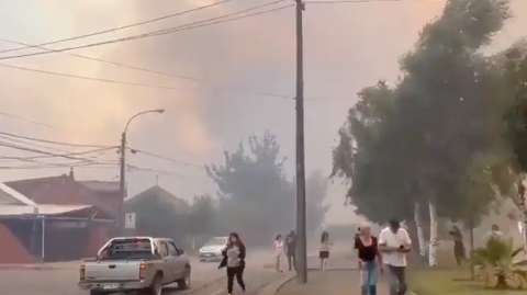 Más de 500 hectáreas consumidas por incendio forestal en Quillón, Chile
