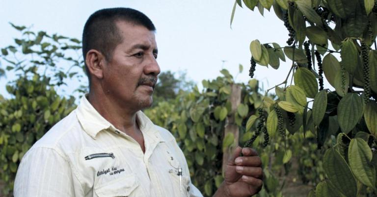 Rodrigo Trujillo, el hombre que cambió la coca por pimienta