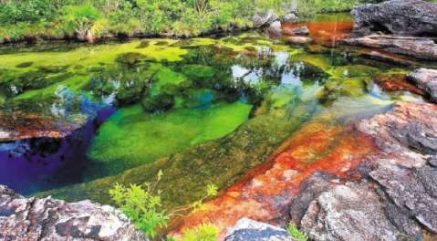 Por seis meses permanecerá cerrado Caño Cristales
