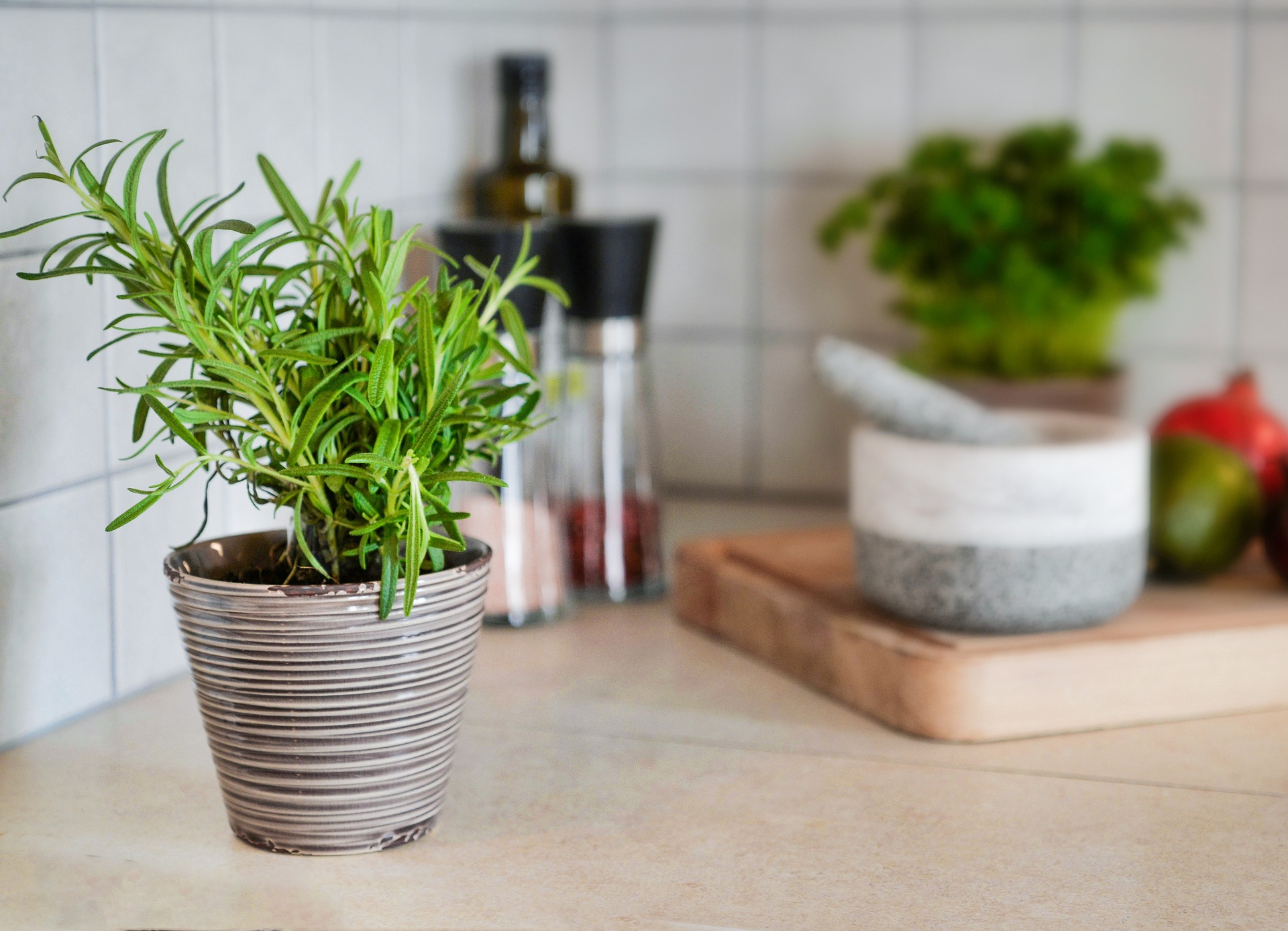 Foto que muestra una planta de romero plantada en una pequeña matera gris que, a su vez, está en la cocina. De fondo hay un mortero y un salero y pimentero.