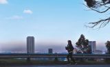 Se mantienen las alertas ambientales en toda la ciudad: Secretaría de Ambiente
