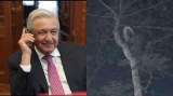 Twitter confirmó que la foto del “duende maya” publicada por AMLO es falsa