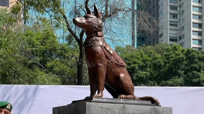 Inauguran estatua de Proteo, perro mexicano que murió mientras ayudaba en Turquía