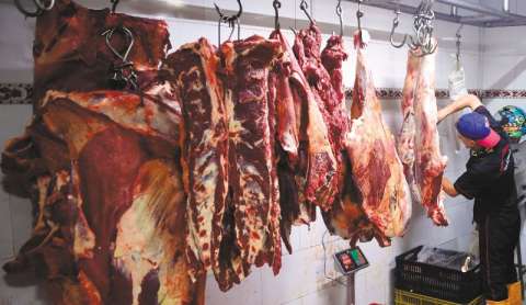 Reabrir “mataderos” en municipios, un debate con mucha carne
