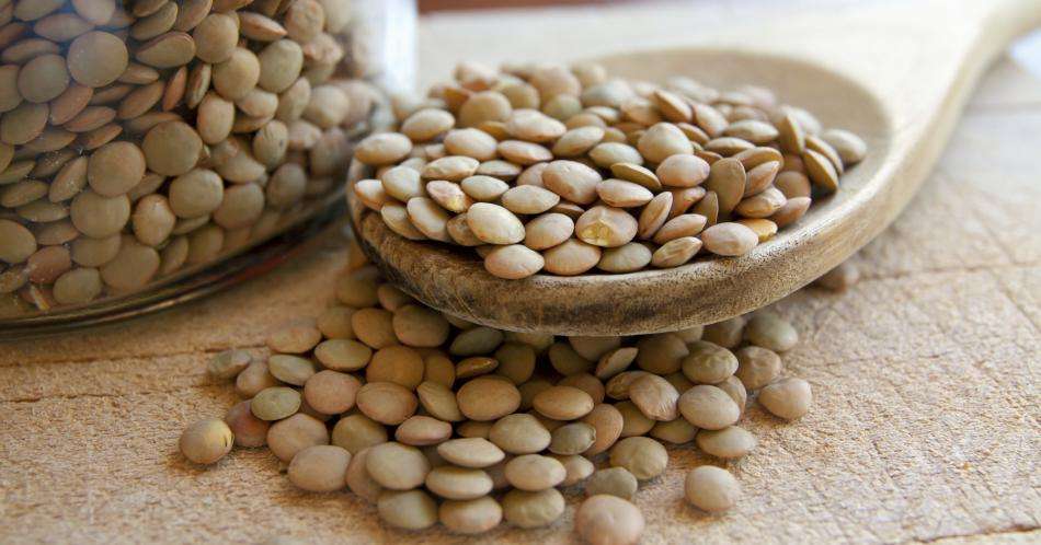 Las lentejas, fuente de proteína vegetal