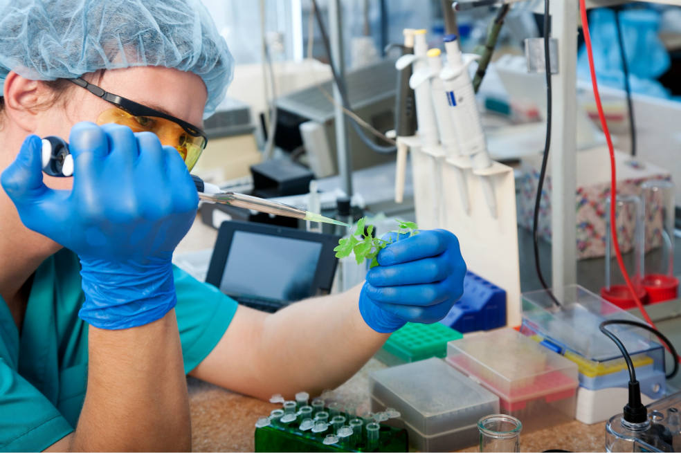 En 2012 se entregaron regalías por $579.000 millones para proyectos de ciencia, tecnología e innovación. / Archivo