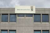 Acusan a Monsanto de vender, durante años, un químico contaminante