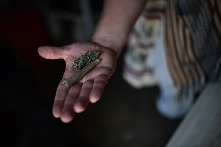 Claro que hay que regular el cannabis, con cuidado