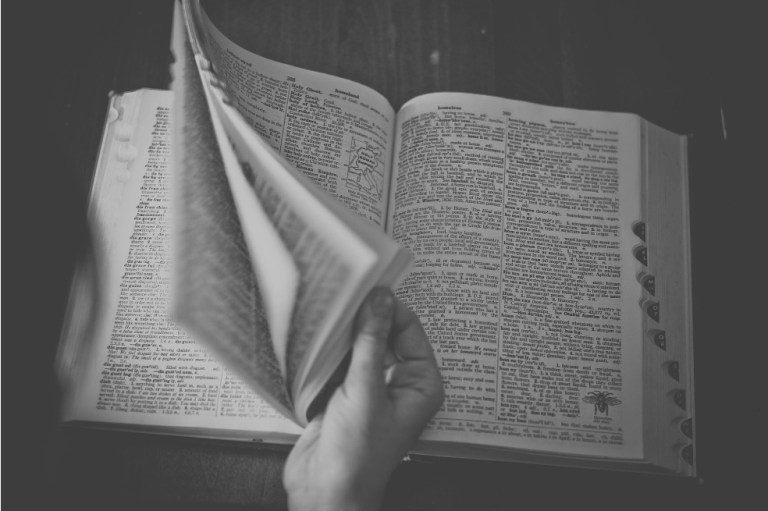 Las groserías universalizan el español