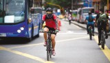 Cinco proyectos de ley en pro de la bicicleta