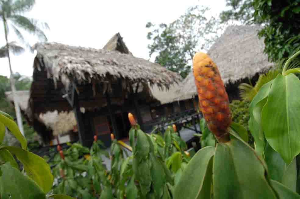Amazonas. / Archivo