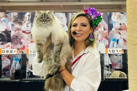Expopet 2023: agéndese para la VIII Copa Internacional Felina