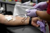 ¿Los pacientes que se salvaron de COVID-19 pueden ayudar a los que apenas se infectan?