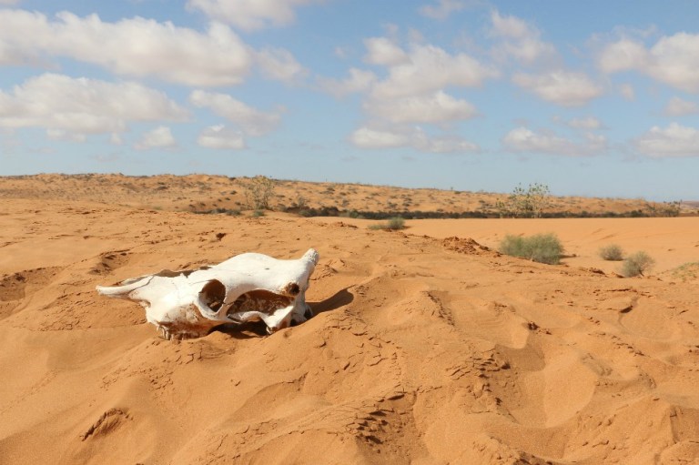 Parques eólicos y solares podrían aumentar lluvias en el Sahara
