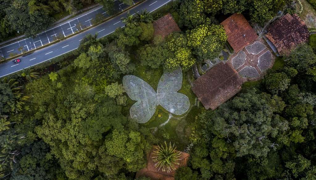 El terreno dónde está el jardín mide 14 hectáreas.