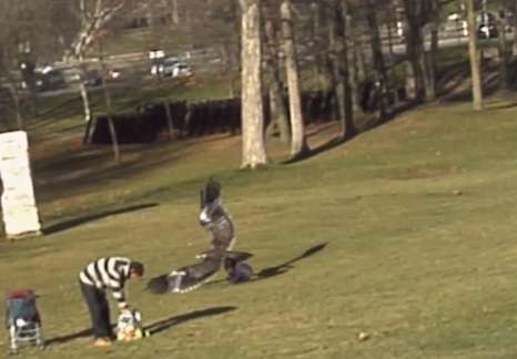 El falso video viral del águila que cazó a un niño